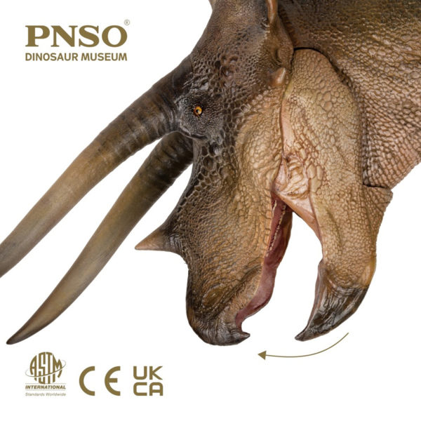 pnso triceratops
