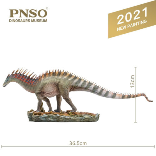 PNSO Lucio the 2021 Amargasaurus model measurements.