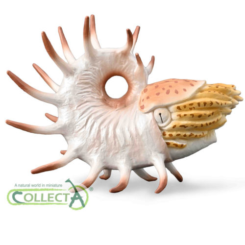 CollectA Prehistoric Life Cooperoceras