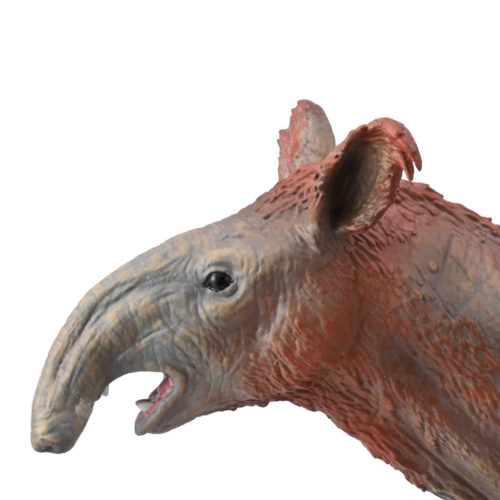 CollectA Deluxe Paraceratherium