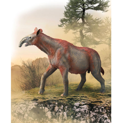 CollectA Deluxe Paraceratherium