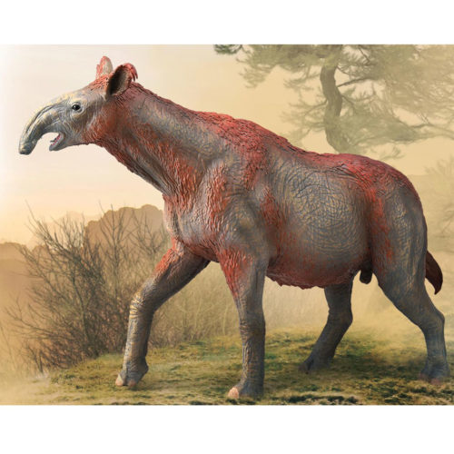 CollectA Deluxe Paraceratherium