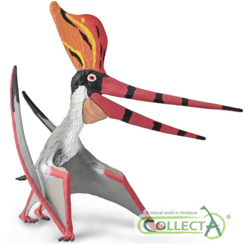 CollectA Deluxe Pteranodon sternbergi