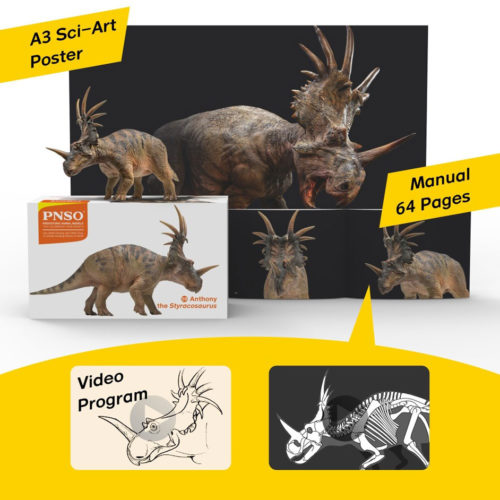PNSO Anthony the Styracosaurus dinosaur model