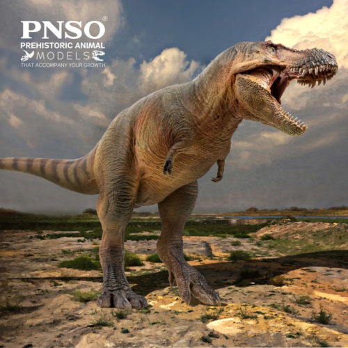 PNSO Lu Xiong the Zhuchengtyrannus dinosaur model