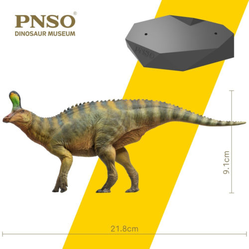 Tsintaosaurus model measurements.