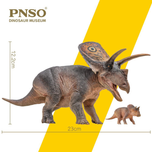 Torosaurus dinosaur models (measurements)