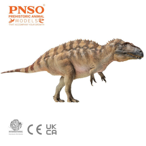 PNSO Acrocanthosaurus model.