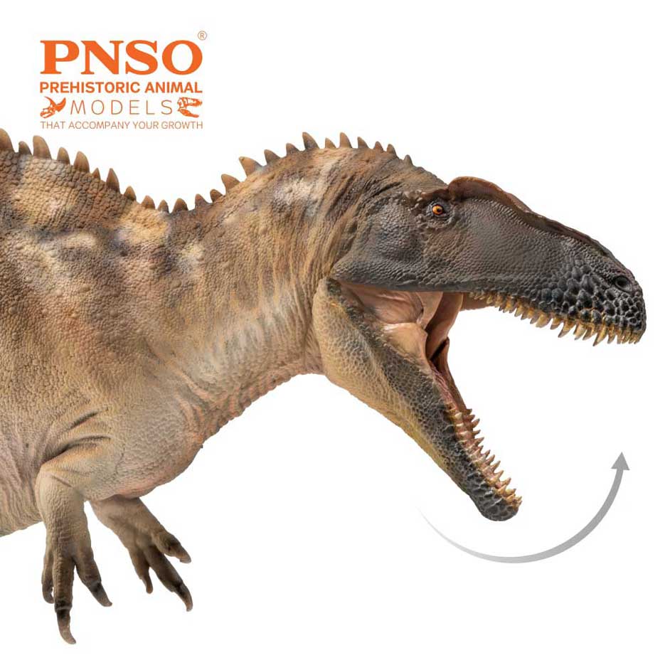 PNSO Fergus the Acrocanthosaurus Dinosaur Model - Everything Dinosaur