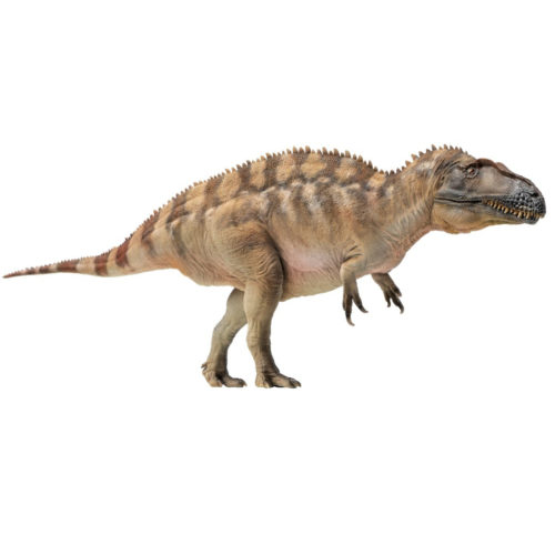 PNSO Fergus the Acrocanthosaurus dinosaur model