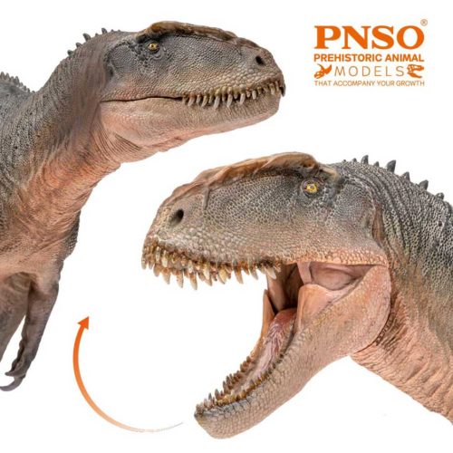 Sinraptor model with an articulated jaw.