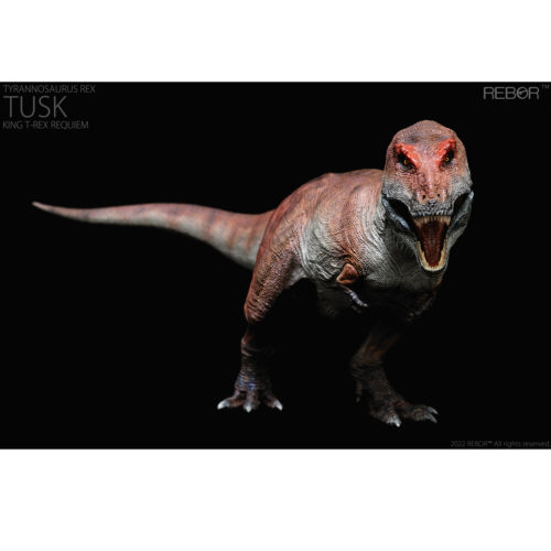 Rebor Tyrannosaurus rex "TUSK" King T-REX Requiem