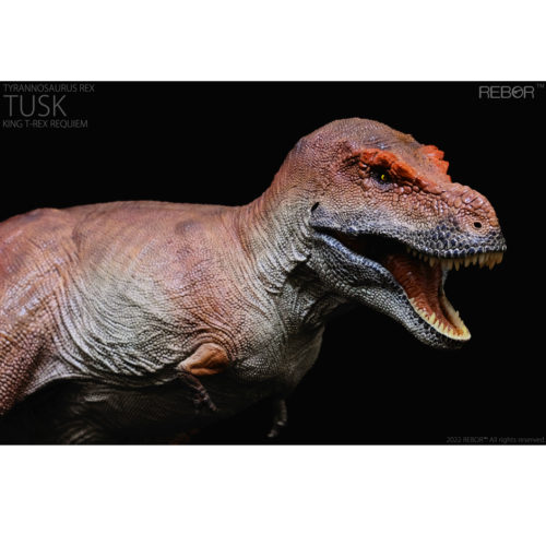 Rebor Requiem Tusk T. rex.