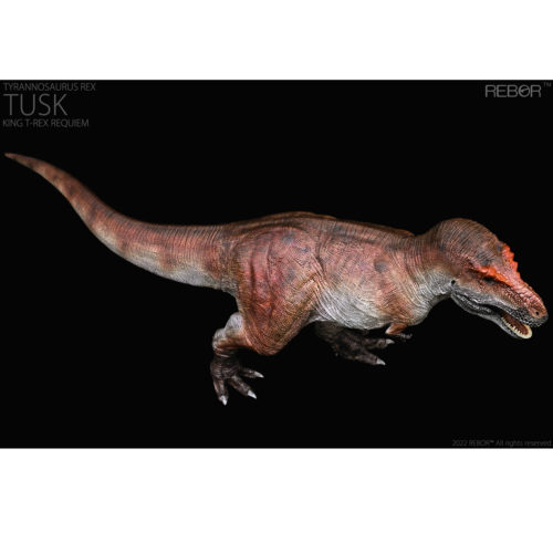 Rebor Tusk Tyrannosaurus rex dinosaur model in dorsal view.