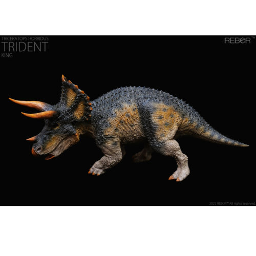 Rebor Male Triceratops Trident King