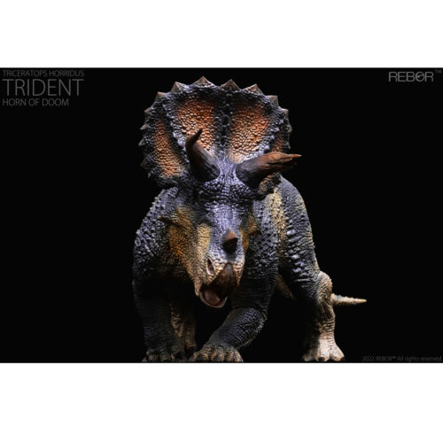 Triceratops dinosaur model.