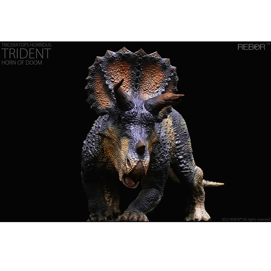 rebor triceratops