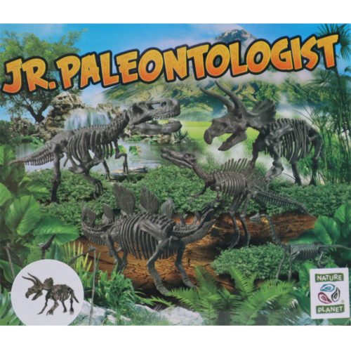 Triceratops Skeleton Excavation Kit