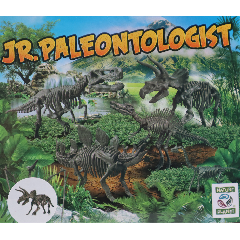 Dinosaur toy skeleton fossil excavation hot sale