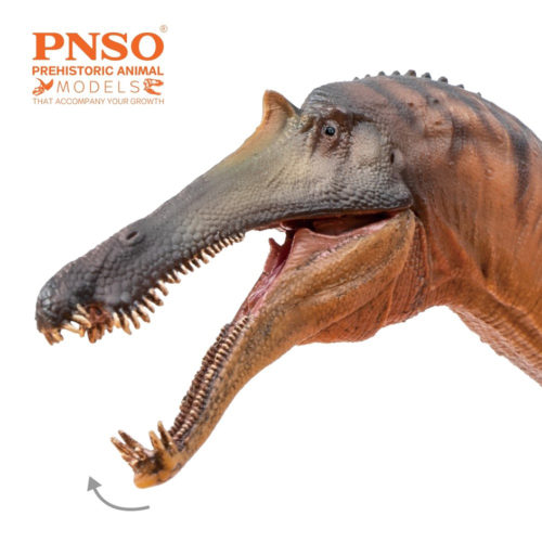 Sinopliosaurus figure with an articulated jaw (PNSO).