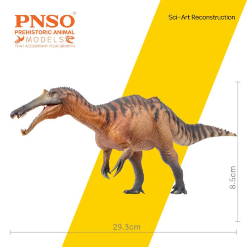 Sinopliosaurus model measurements