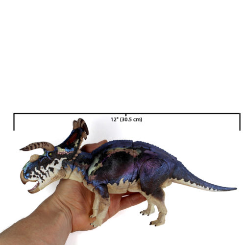 Beasts of the Mesozoic Fans' Choice Medusaceratops measurements