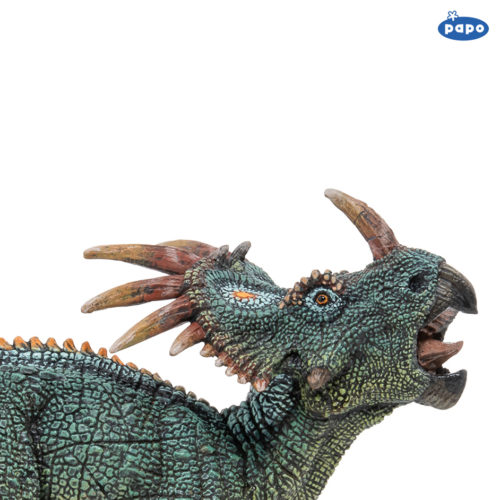 Styracosaurus close-up view.