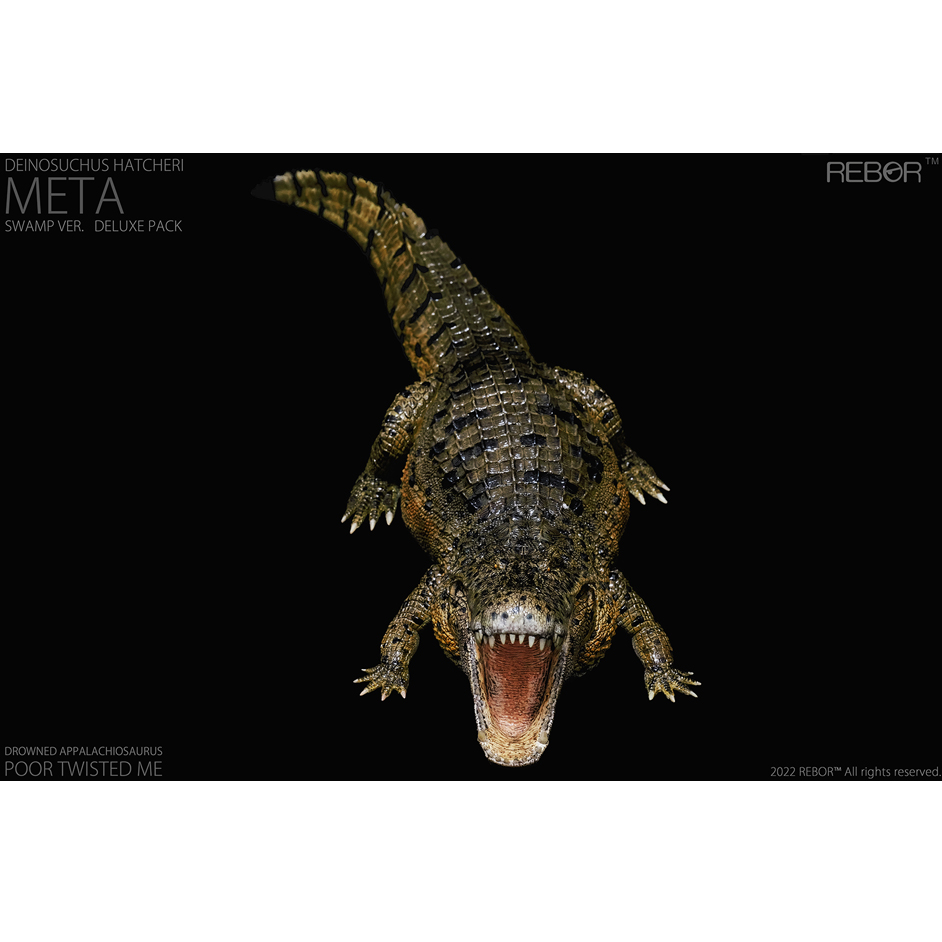 Rebor Deinosuchus Preparations by Everything Dinosaur