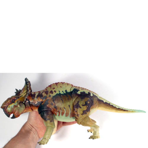 Pachyrhinosaurus model in hand.