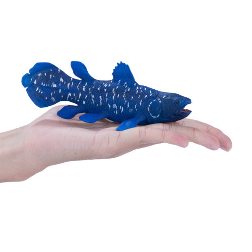 Prehistoric fish held in hand (Coelacanth from Mojo Fun)