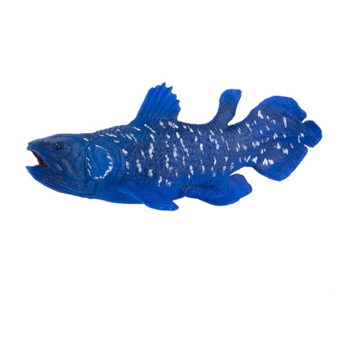 Prehistoric life Coelacanth figure.