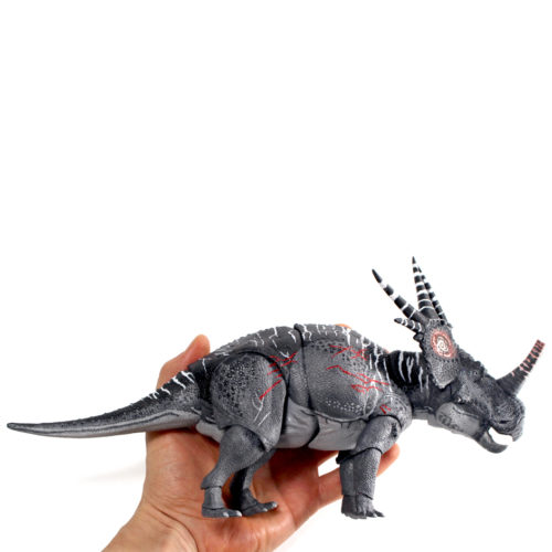 Styracosaurus held in the hand.