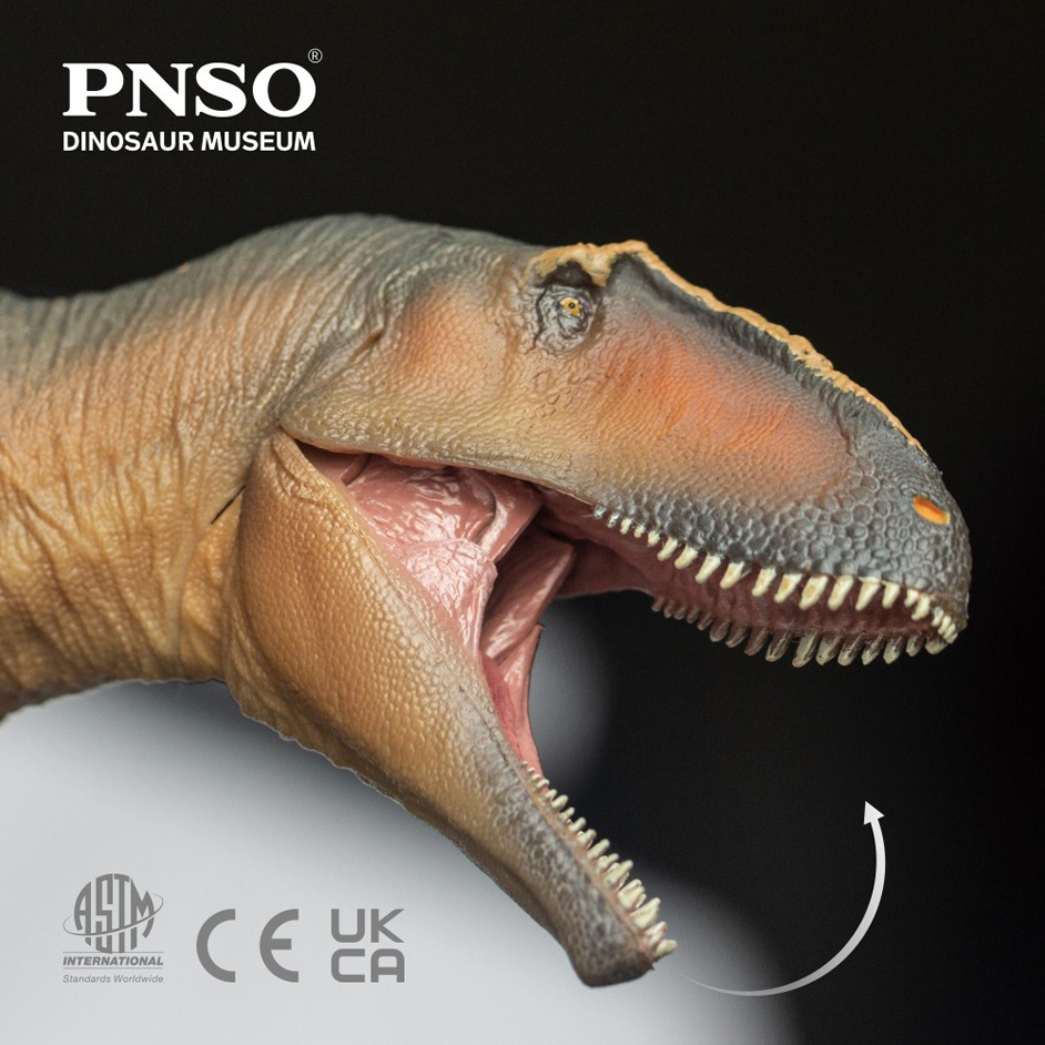 dinosaur fossil dinosaur fossil