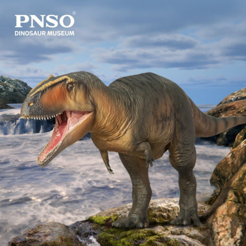 PNSO Lucas the Giganotosaurus.