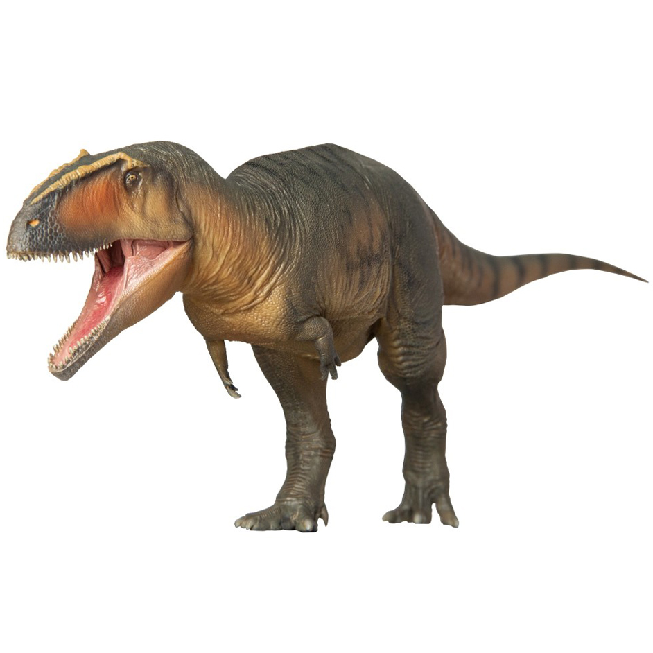 dinosaur fossil dinosaur fossil