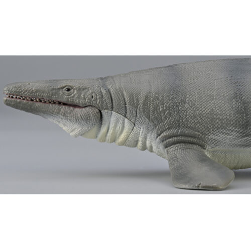 Mosasaurus model with articulated jaw.