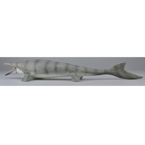 Mosasaurus marine reptile replica.