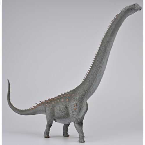 Ruyangosaurus giganteus model