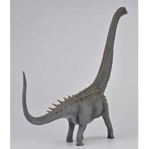 Ruyangosaurus dinosaur model.