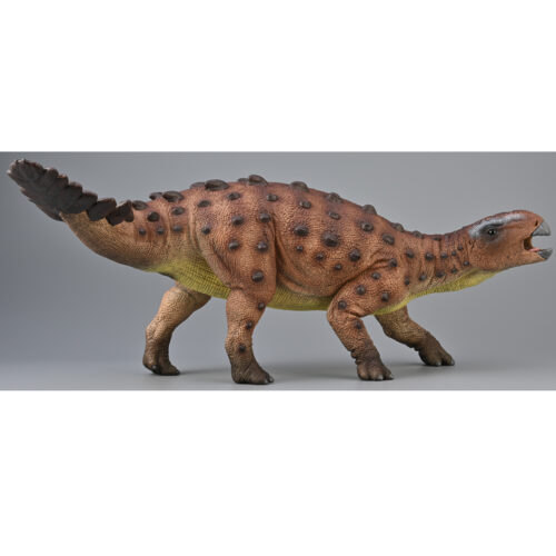 Stegouros dinosaur model.
