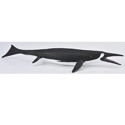 CollectA Shastasaurus