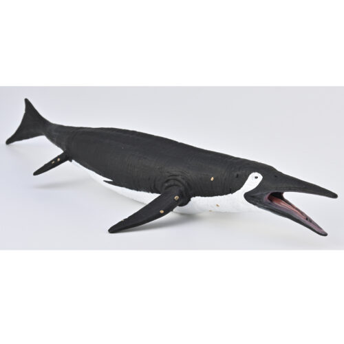 CollectA Shastasaurus