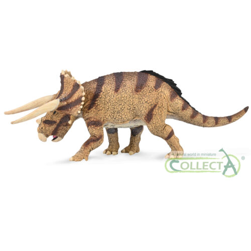 CollectA Triceratops horridus - confronting