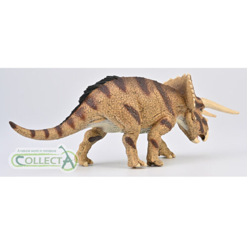 Triceratops horridus (CollectA Age of Dinosaurs Popular)