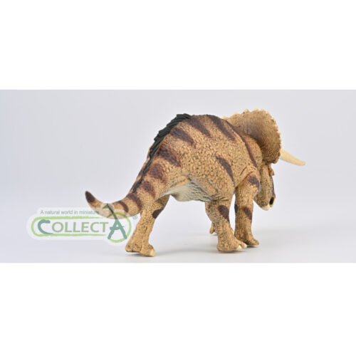 Triceratops dinosaur model.