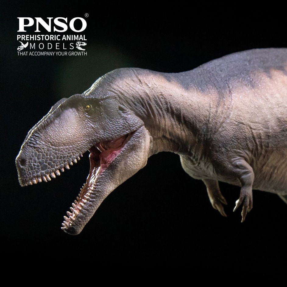 PNSO Mila the Mapusaurus Everything Dinosaur