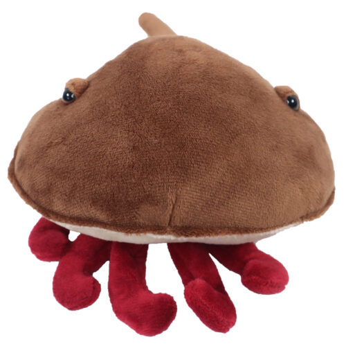 Horesecrab soft toy.