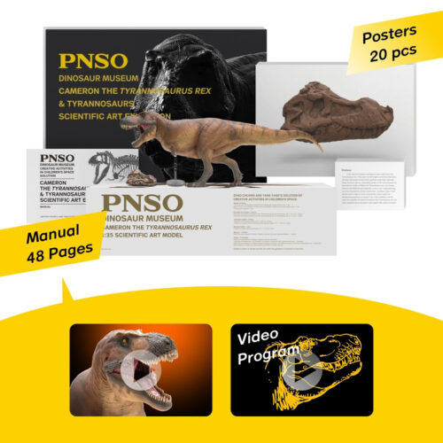 PNSO Cameron the T. rex is supplied with a transparent support stand, a model of a T. rex skull, a 48-page manual and posters.