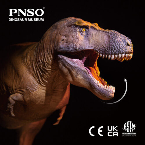 PNSO Cameron the Tyrannosaurus rex