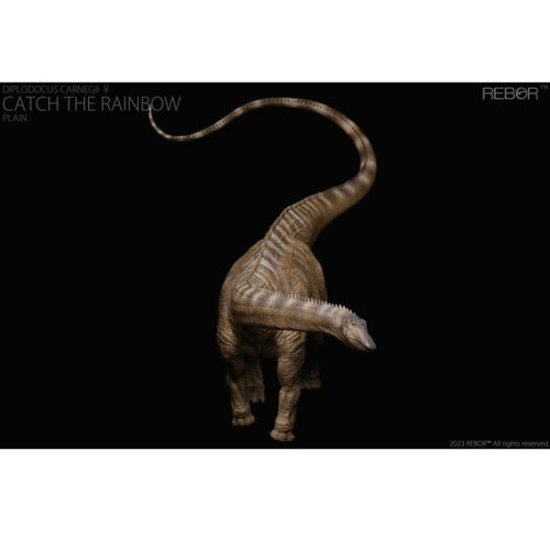 Diplodocus carnegii Catch the Rainbow.